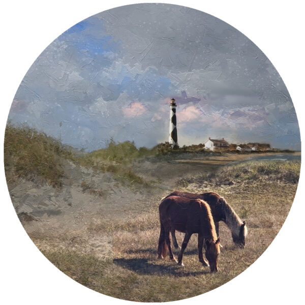 Cape Lookout Ponies