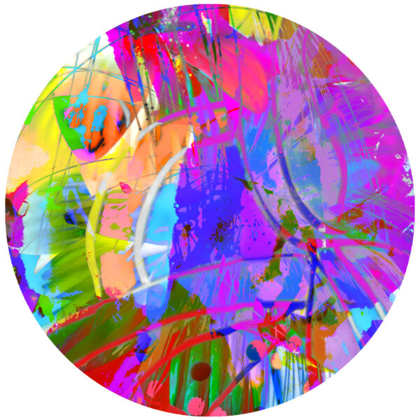 fly away abstract bird decal