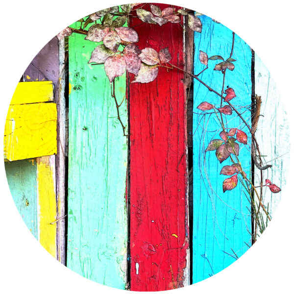 colored fence abstract