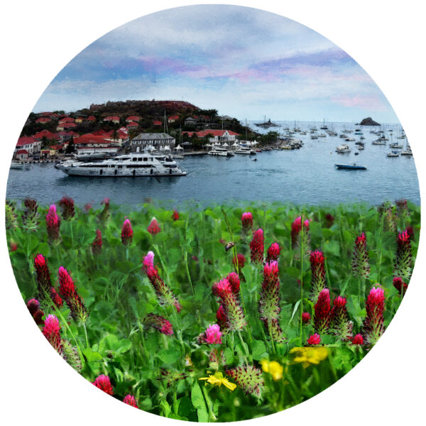 Flower Fields of St Barts decal