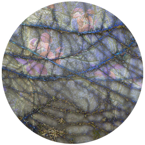 Glitteracious Abstract