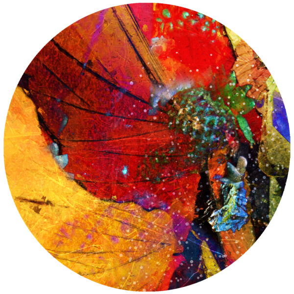 inner place on earth abstract decal