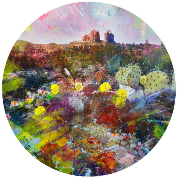 Sedona Arizona painted cactus abstract decal