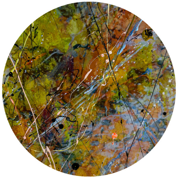 time flies abstract