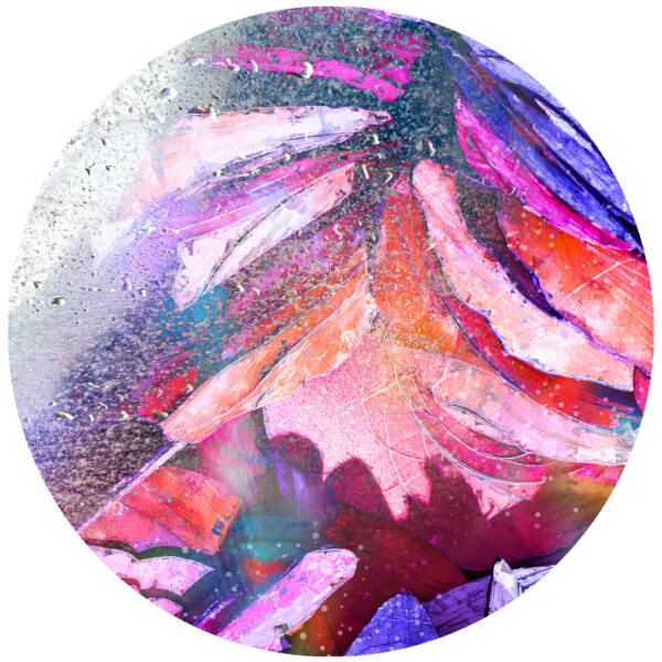 vibrant earth abstract decal
