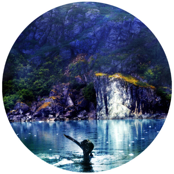 Alaskan Whale Decal