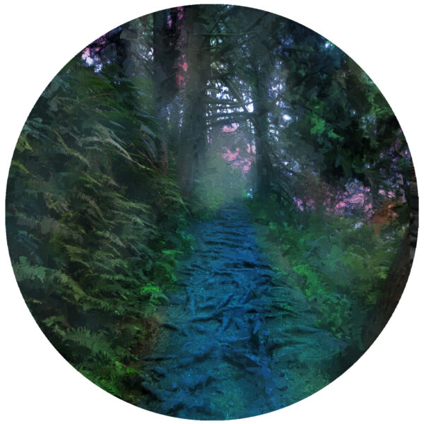 An Oregon Pathway Through The Woods Abstract