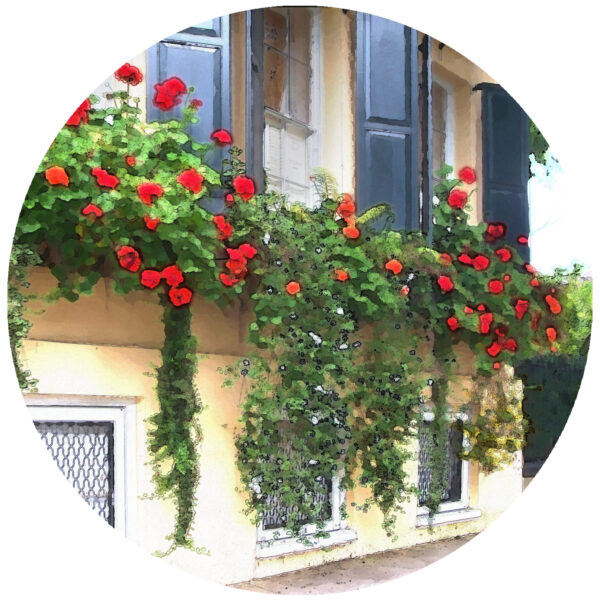 Charleston South Carolina Street Flower Art