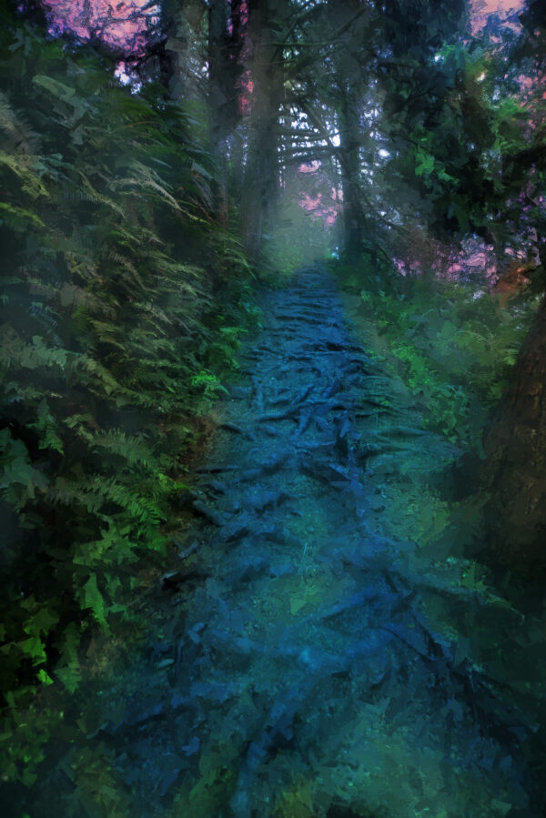 A Walk Through The Forest Of Oregon Abstract Art