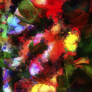 Flores Trepando Fine Art Creative Photography