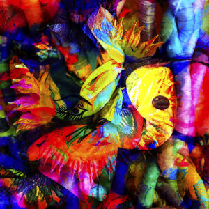 Estilo Fiesta Cabo Photo Artistry