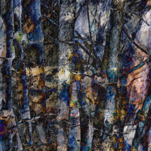 Forest For The Trees Abstract Fine Art