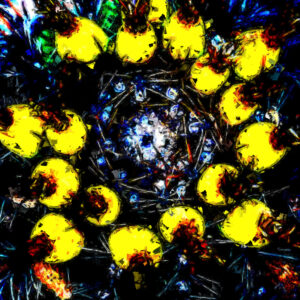 Cabo Cactus Needles Abstract Conceptual Photographic Print