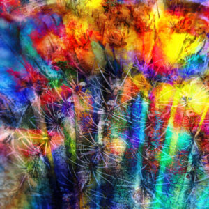 Colorido Y Maravilloso Photo Art