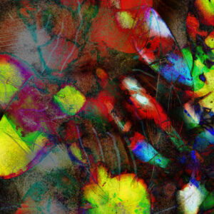 Tamalies Calientes Imaginative Photography To Abstract Modern Art