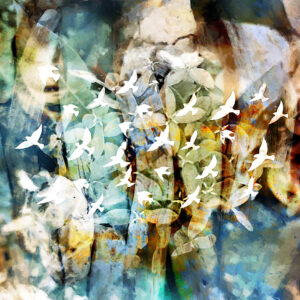 Birds In Clouds Abstract Art