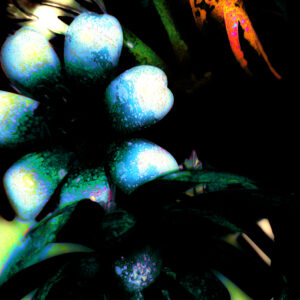 Flowers For My Girl Abstract Modern Art