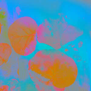 Leaves Of Destruction Abstract Modern Wall Art