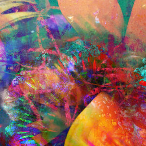 Fine Art Abstract Photography Titled Oranges Talking