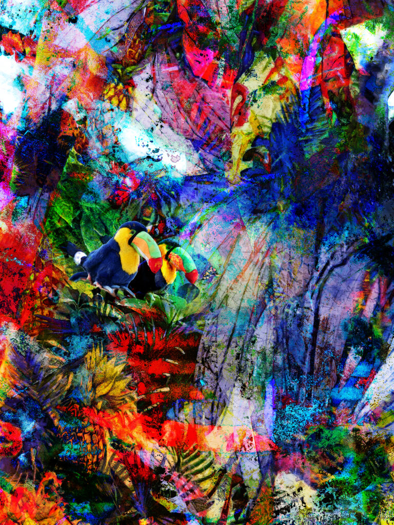 Ramphastidaes Toucan Bird Paradise Abstract Art