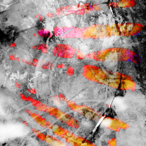 Abstract Photography Titled Iced