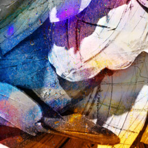 Earth Colors Abstract Modern Art