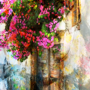 Patmos Greece Bougainvillea Flower Abstract