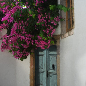 Mykonos Greece Flowering Doorway