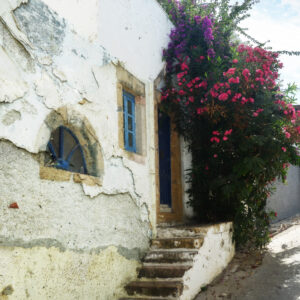 Mykonos Greece Flowering Wall Of Flowers Fine Art