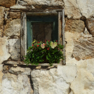 Mykonos Greece Basket Of Flowers Fine Art