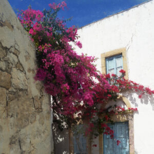 The Mykonos Greece Blue Door and Flower Fine Art