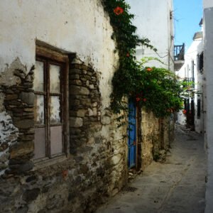The Orange Flowers Of Paros Greece Fine Art