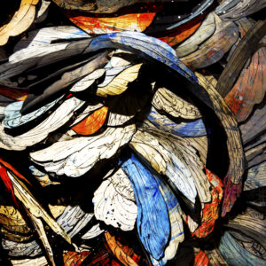 Abstract Painting Life On This Earth