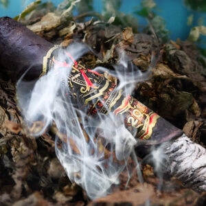 Arturo Fuente Opus X Double Black Fine Art