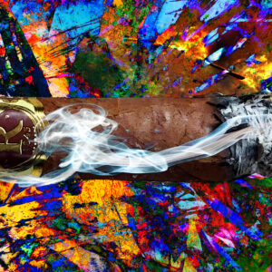 Vegas Robaina Cuban Cigar Art