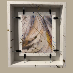 surviving on this earth signed floating frame.