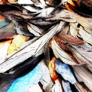 Moving Through Fields Of Color