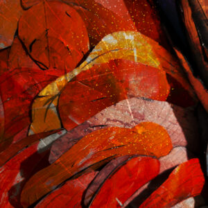 The Calm After Color By Artist Michael John Valentine