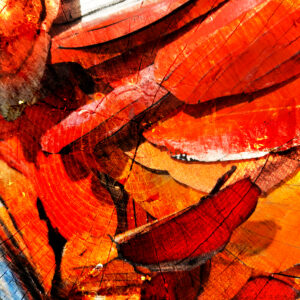 Just Before Evening By Artist Michael John Valentine