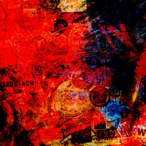 echos below the surface key west