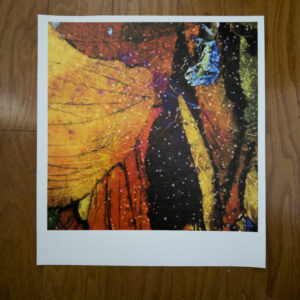 Inner Place On Earth Fine Art Canvas