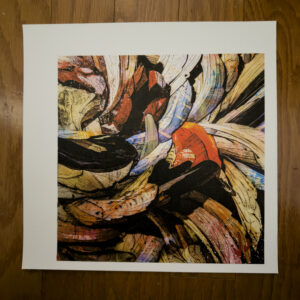 The Aerth Quakes Fine Art