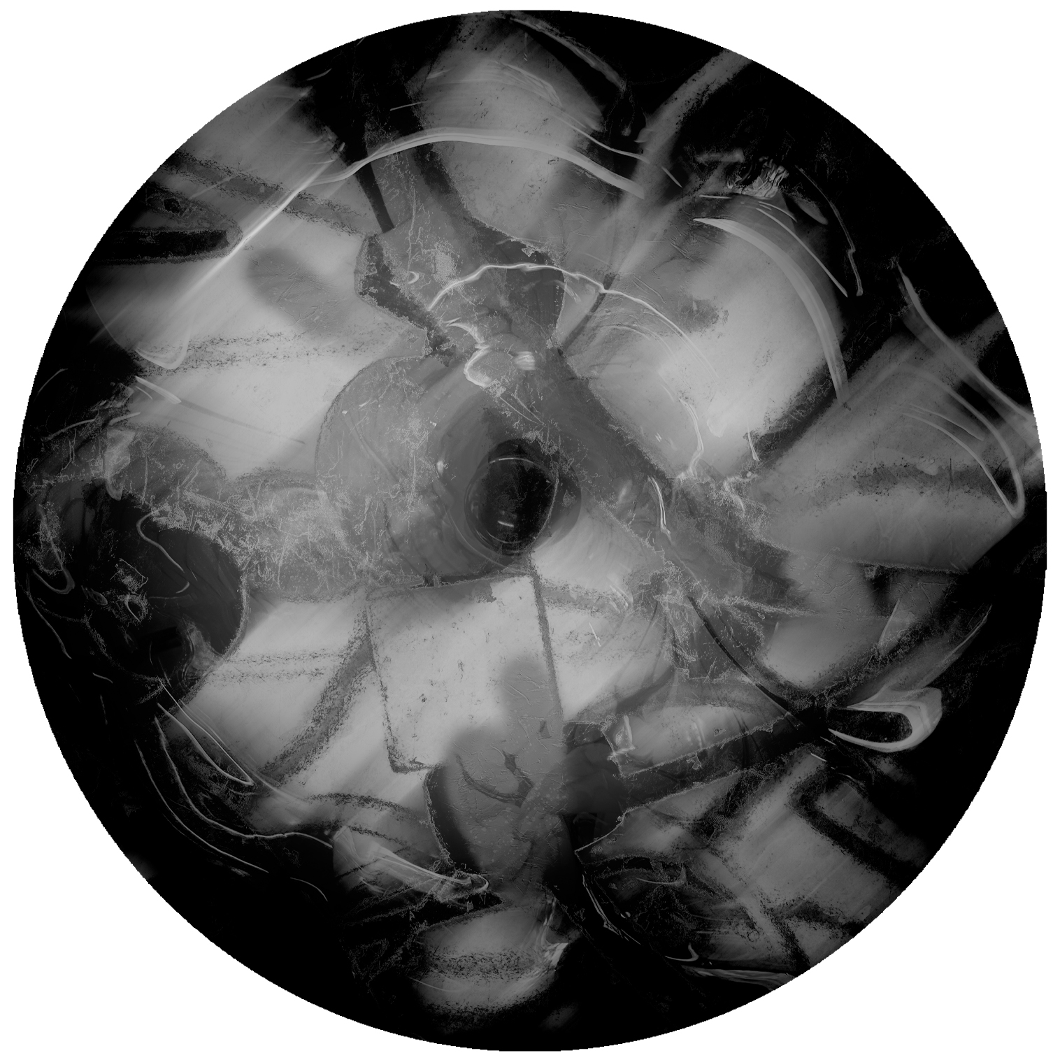 Black and White Flower Abstract Art