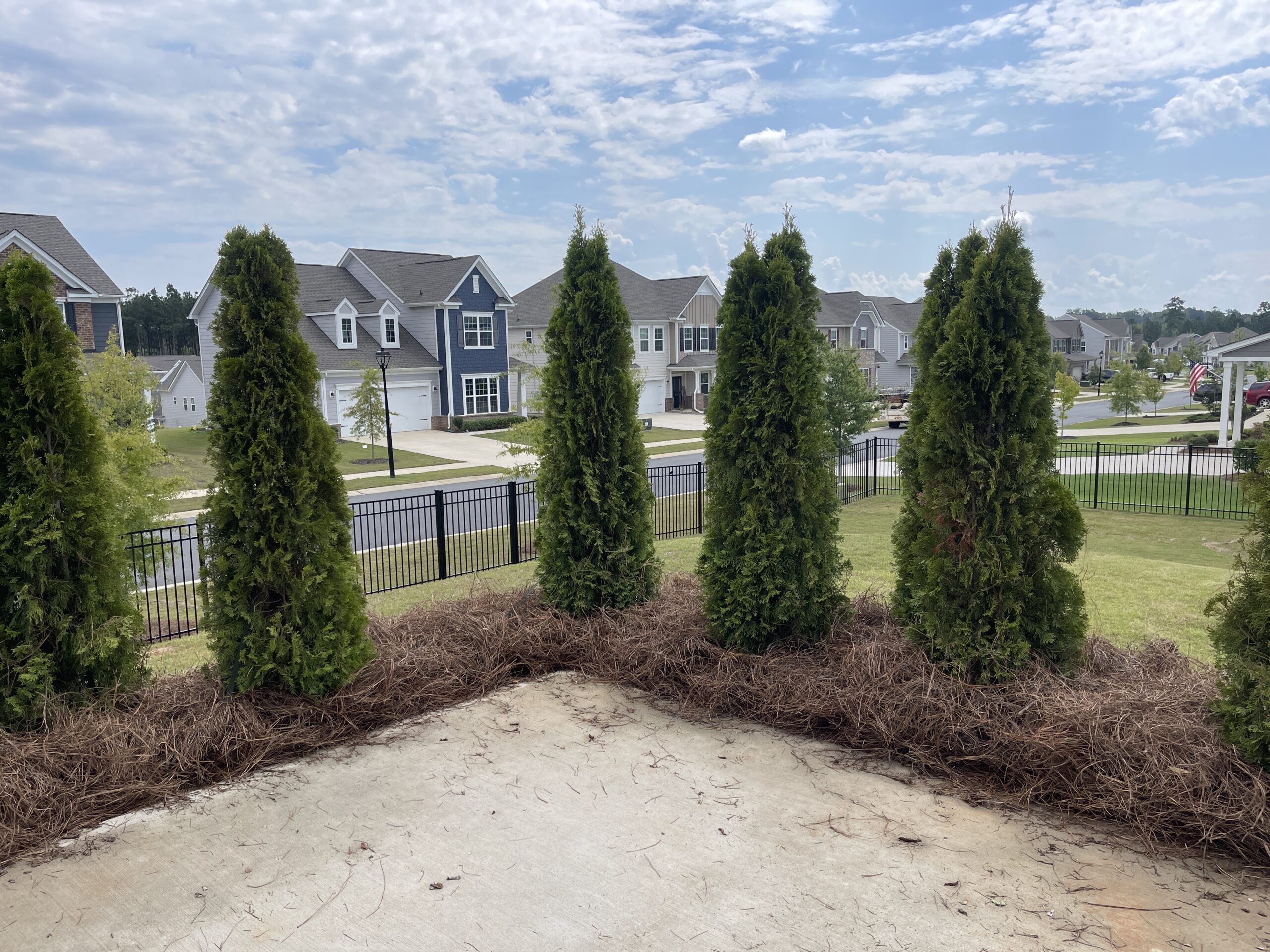 back patio with shrubs
