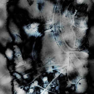 Black and White Spot Color Fine Art