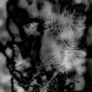 Black and White Abstract Art