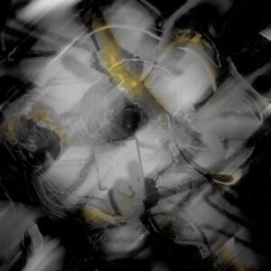 Black and White Flower Abstract Art