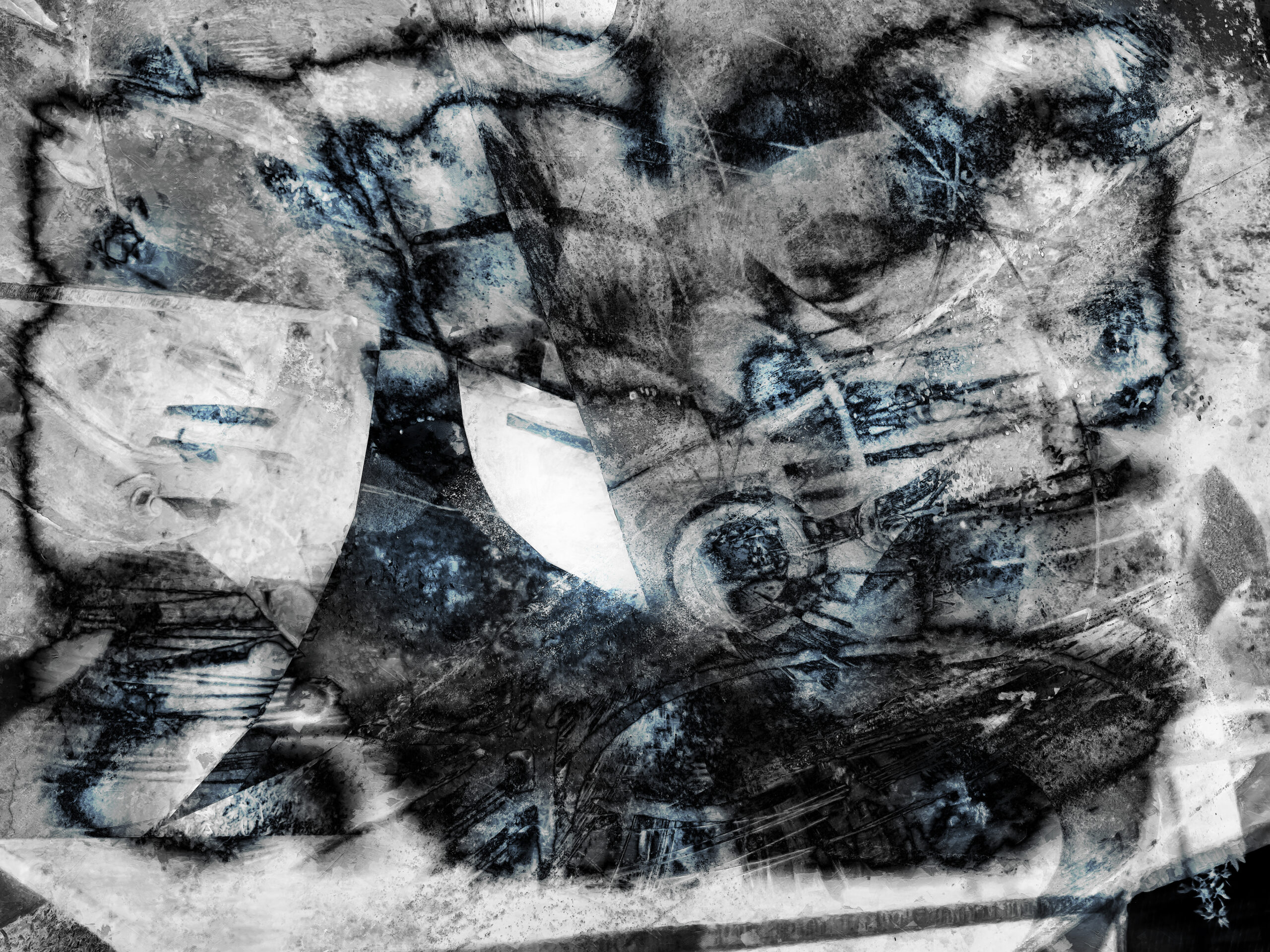 Black and White Spot Color Fine Art