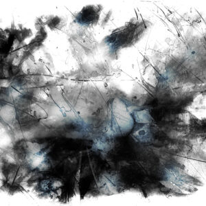 Black and White Spot Color Fine Art