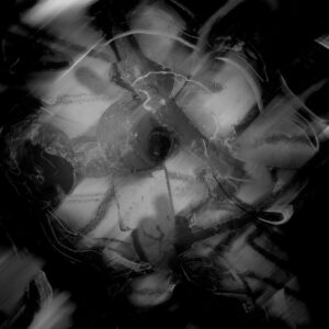 Black and White Flower Abstract Art